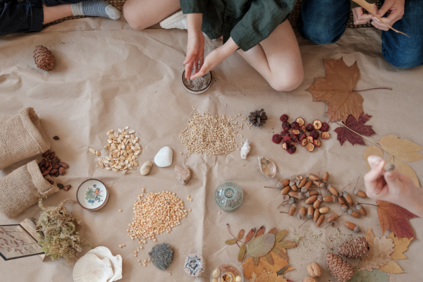 Understanding Learning Styles: A Key to Home School Success